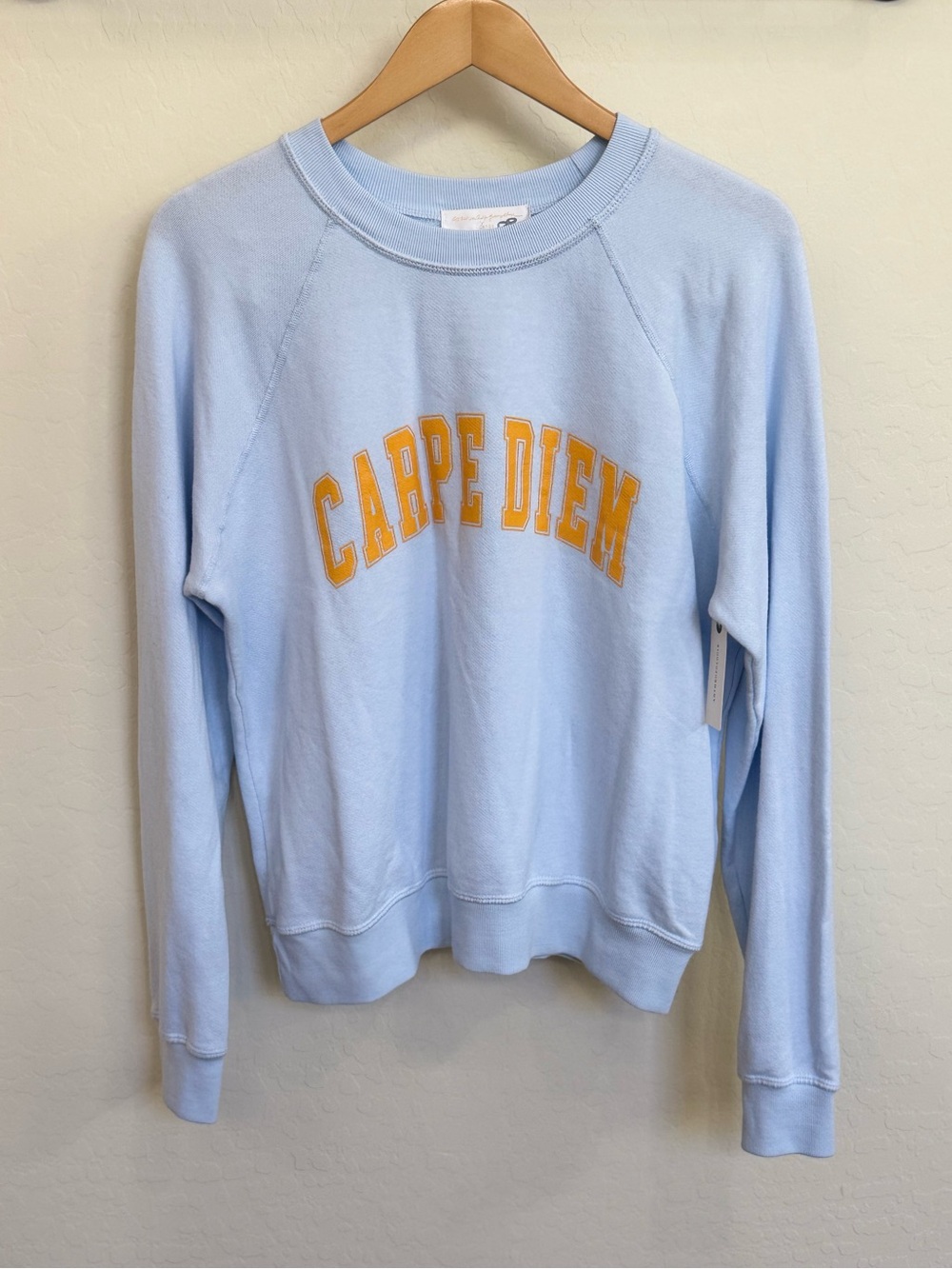 NWT Spiritual Gangster Carpe Diem Crewneck Sweatshirt Sky Blue L Anthropologie